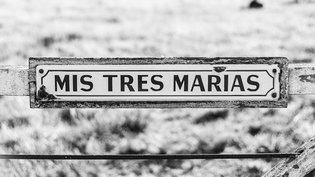 corporate intelligence landscape overview